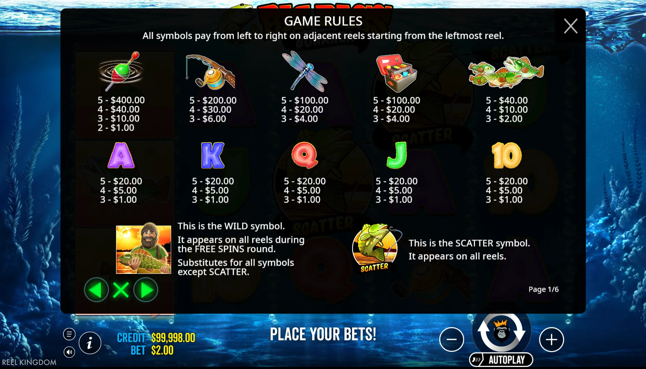 A 5x3 grid with ten lines that never switch off in Big Bass Bonanza